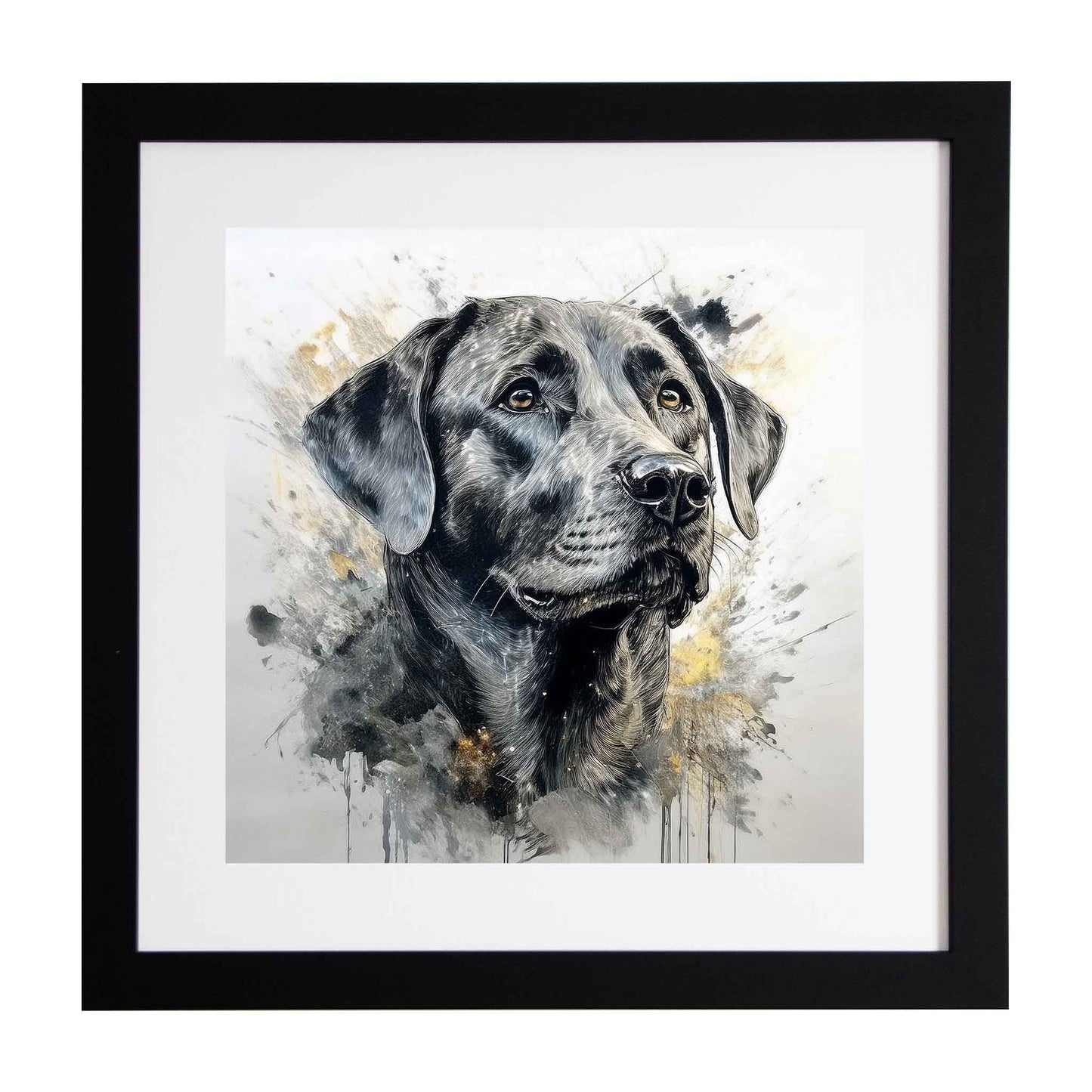 Black labrador framed print from Ximago