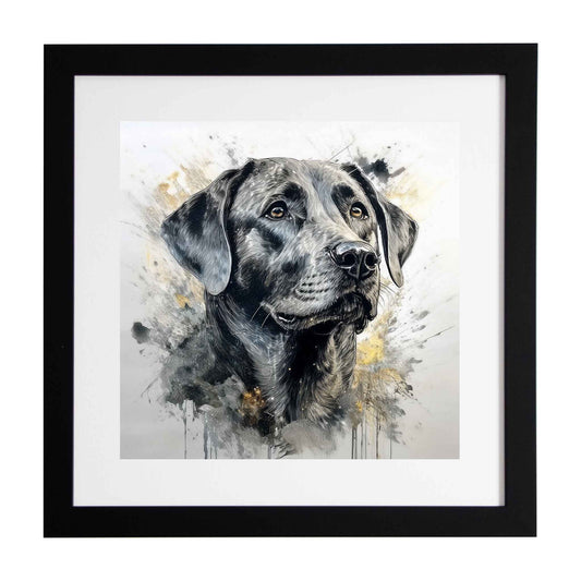 Black labrador framed print from Ximago