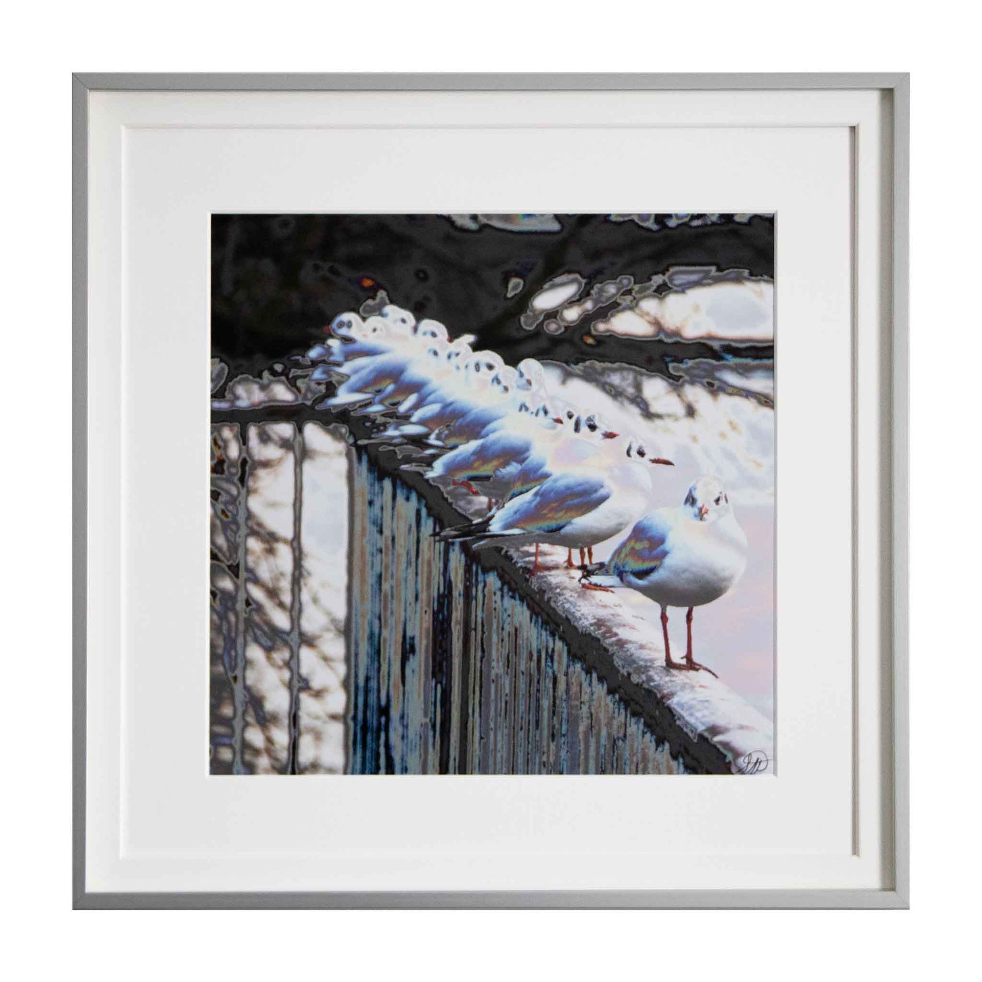 Seagulls in the Snow - Zurich, a framed modern art print from the Ximago store
