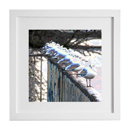 Seagulls in the Snow - Zurich, a framed limited edition art print from the Ximago store